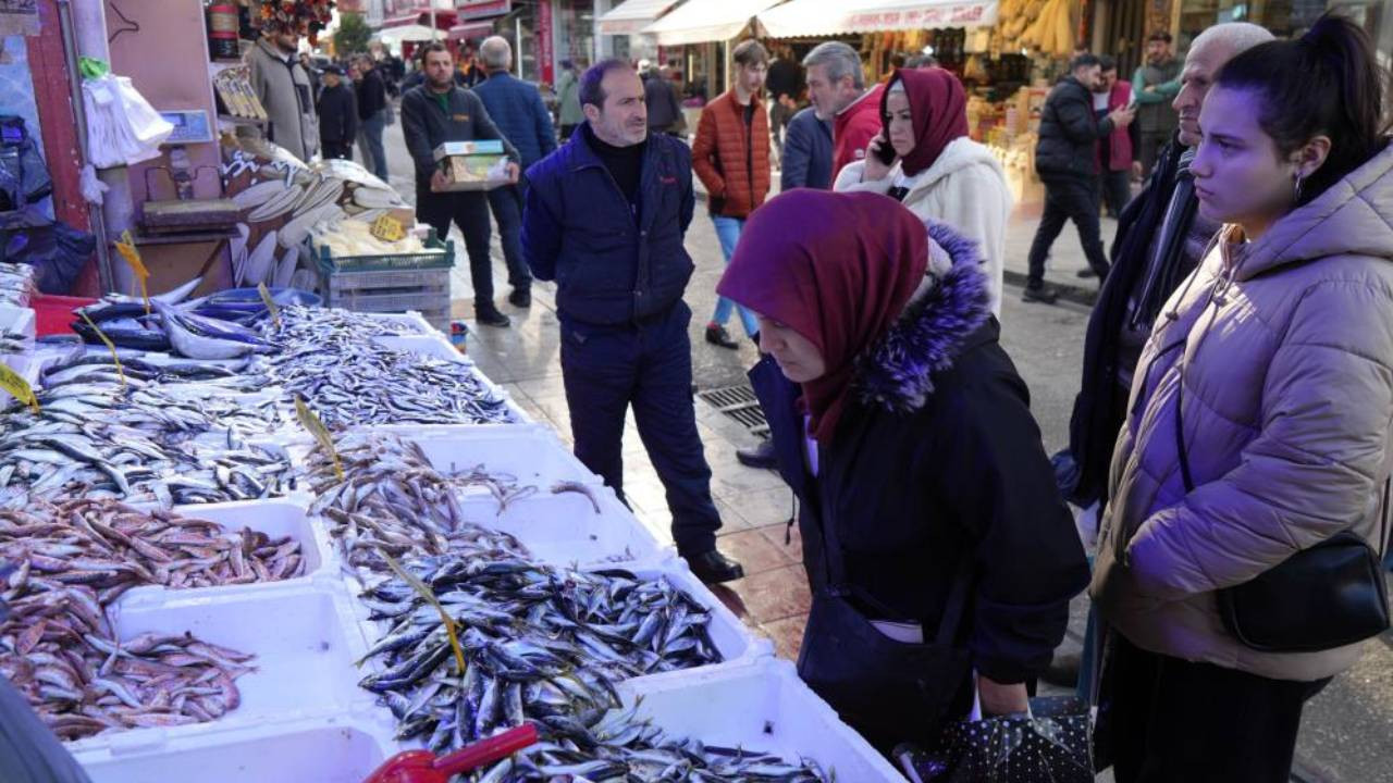 Karadeniz’de mezgit ve istavrit bolluğu